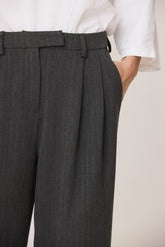 DRESSY PANTS WITH DARTS