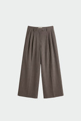 DRESSY PANTS WITH DARTS