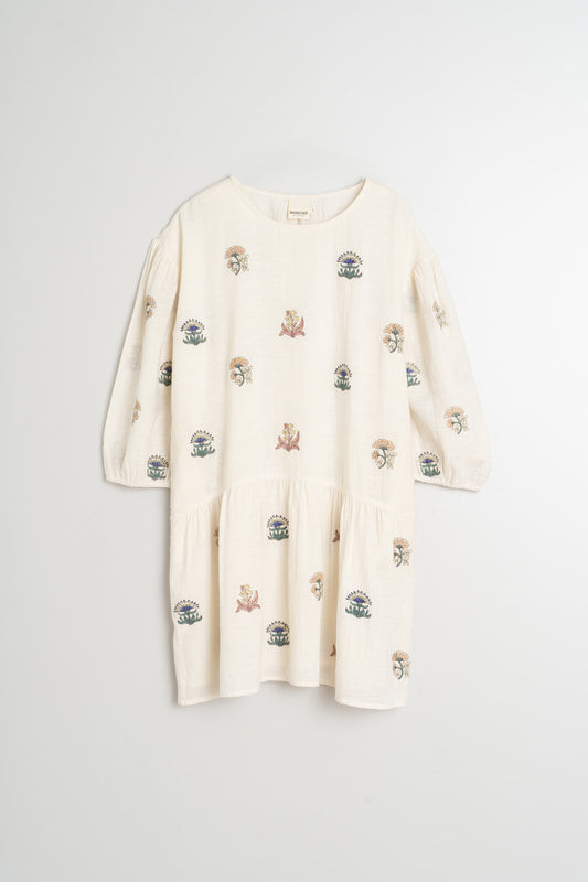 MULTI-COLOR EMBROIDERED DRESS